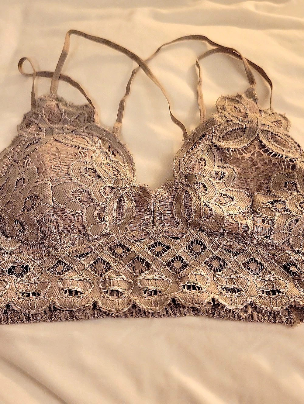anemone Lace Bralette in Taupe